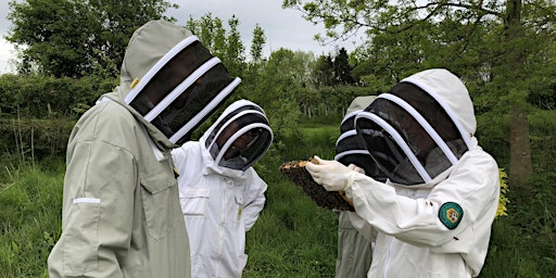 Teaching Beekeeping  primärbild