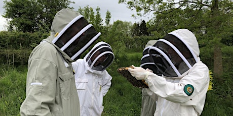 Teaching Beekeeping