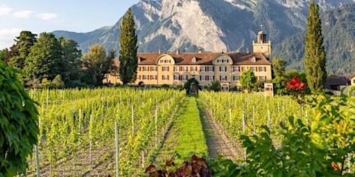 Imagem principal do evento Summer Wine Tasting - Luzern