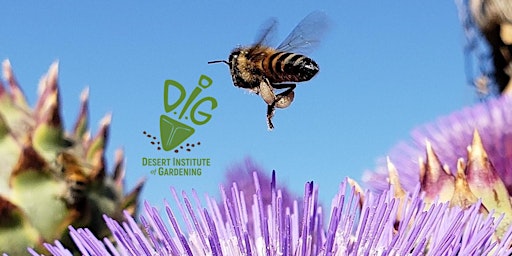Image principale de DIG IN-PERSON: Pollinators In My Backyard