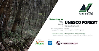 Imagem principal do evento Discover this unique primeval UNESCO forests near Rome (Hike by train)
