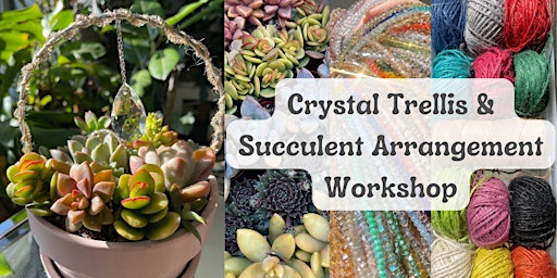 Image principale de Succulent Arrangement & Crystal Trellis Workshop