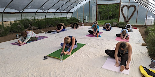 Imagem principal do evento Greenhouse Yoga