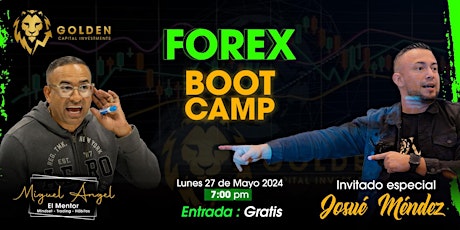 FOREX BOOT CAMP