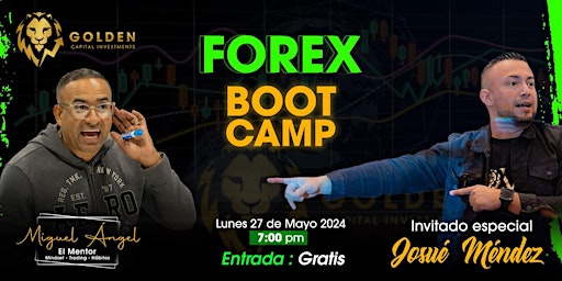 FOREX BOOT CAMP primary image