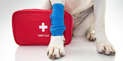 Hauptbild für Safe Paws K9 First Aid and CPR Class