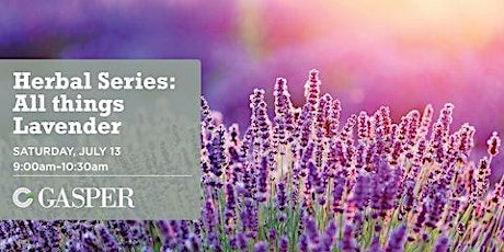Herbal Series: All things Lavender