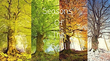 Imagem principal de Seasons Of The Soul- Week 2: Summer- Radiating Creative Expression