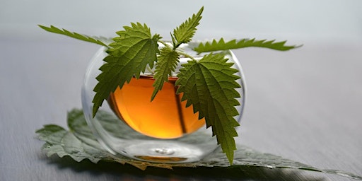 Herbal Teas  primärbild