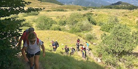 Immagine principale di Trekking Monte Pelato e La Valle della Luna 