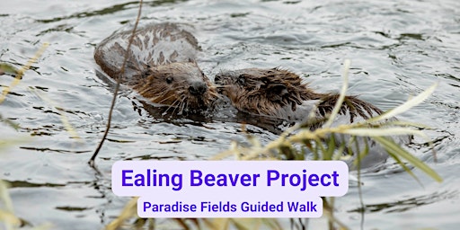 Imagem principal do evento Ealing Beaver Project guided walk