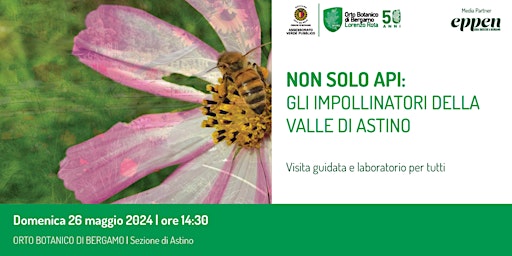 Imagem principal do evento NON SOLO API: gli impollinatori della Valle di Astino