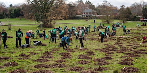 Primaire afbeelding van Raise funds to plant trees across the city in Brampton