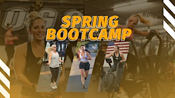Hauptbild für Spring Bootcamp