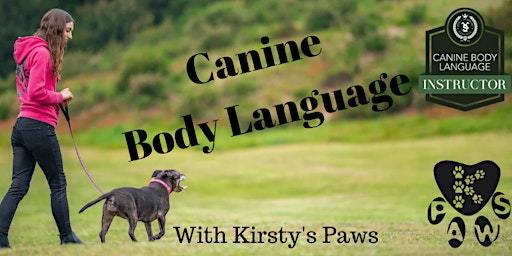 Canine Body Language  primärbild