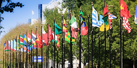 Rondleiding Den Haag's Internationale Zone: Een Reis door Vrede en Recht