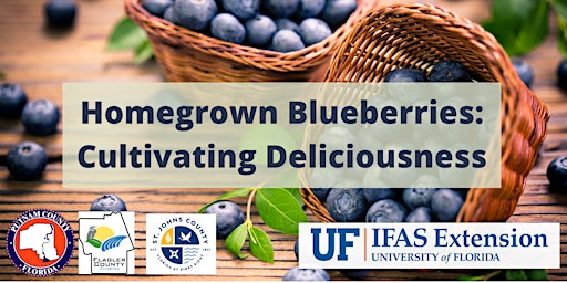 Primaire afbeelding van Homegrown Blueberries: Cultivating Deliciousness