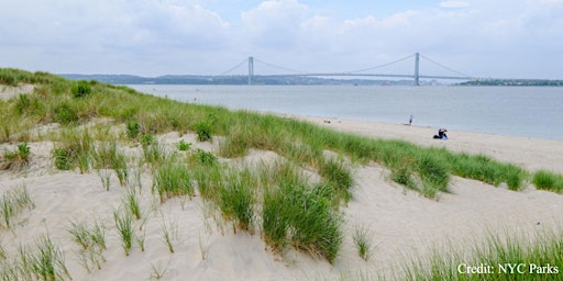 Coney Island Creek Park Tour and Beach Cleanup primary image