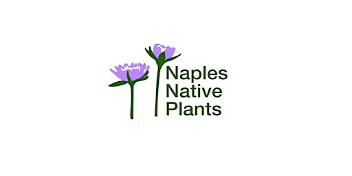 Membership Meeting: Native Plants for Sun - Southwest Florida