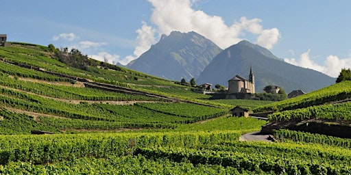 Imagem principal do evento Atelier dégustation de vin : Voyage le long du Rhône, de Vienne à Avignon.