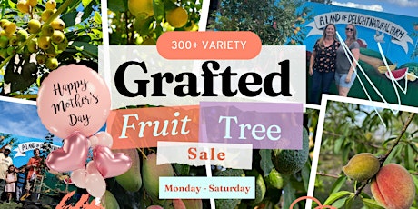 Central Florida's LARGEST Grafted Fruit Tree Sale THIS WEEK for MOMS DAY