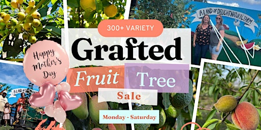 Image principale de Central Florida's LARGEST Grafted Fruit Tree Sale THIS WEEK for MOMS DAY