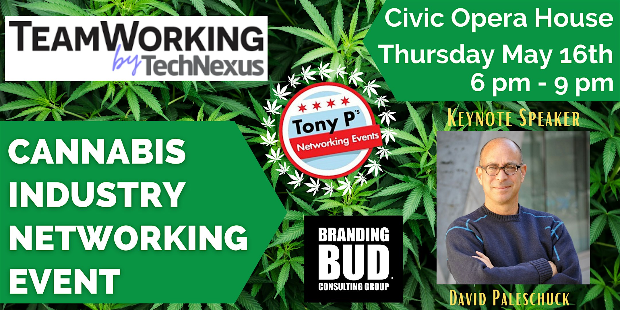 Tony P’s Cannabis Industry Networking Event: Thursday May 16th