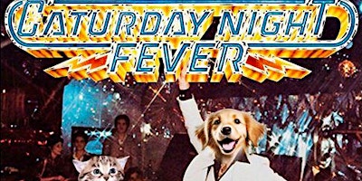 Imagem principal do evento Caturday Night Fever, the SPCA Disco Ball!