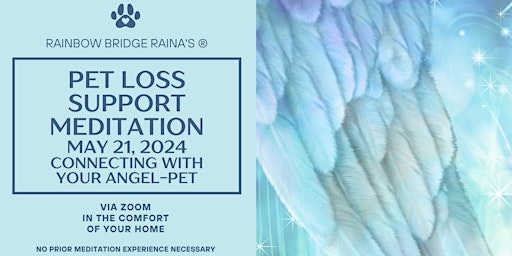 Pet Loss Support Virtual Guided Meditation: Connecting with Your Angel-Pet primary image