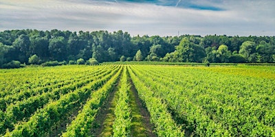 Soirée dégustation des vins du Chapitre à Nivelles et buffet primary image