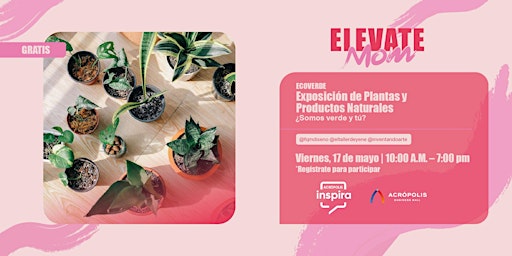 Image principale de EcoVerde: Exposición de Plantas y Productos Naturales