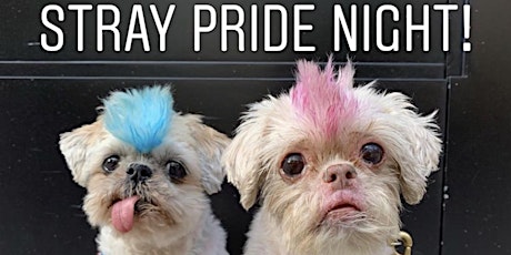 Stray Pride Night 2019 primary image