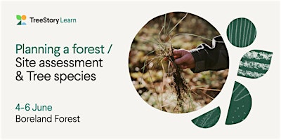 Imagem principal do evento Planning a forest: Site assessment & Tree species
