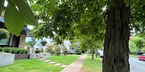 Primaire afbeelding van Urban Tree Walk in Belmont