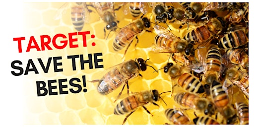 Target: Save the Bees! Rally primary image