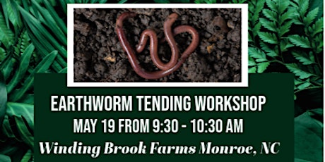 Earthworm Tending Workshop - from keeping to compost to great fertilizer