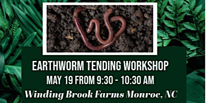 Earthworm Tending Workshop - from keeping to compost to great fertilizer primary image