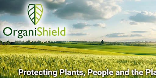 Sugar Shield - Learn How Sugar Can Protect Your Indoor Garden from Pests primary image