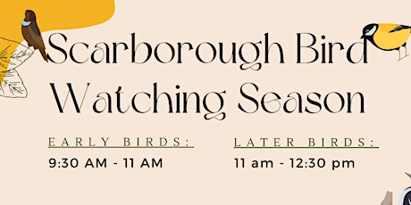 Scarborough Birdwatching - Spring Series 2024