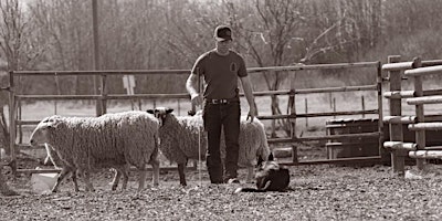 Herding Clinic with Peter LaRue primary image