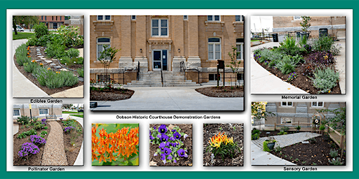 Image principale de Demonstration Gardens at the Historic Courthouse