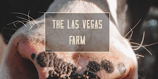 Primaire afbeelding van The Las Vegas Farm Field Trip for ACTIVE FFN Providers ONLY