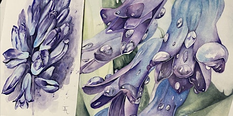 Watercolour painting | BEGINNERS (5 classes, every Wednesday)