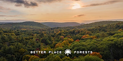 Better Place Forests Litchfield Hills Memorial Forest Open House primary image
