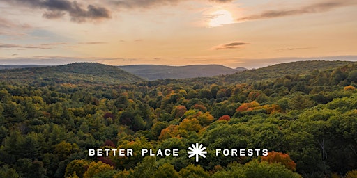 Better Place Forests Litchfield Hills Memorial Forest Open House July 6 primary image