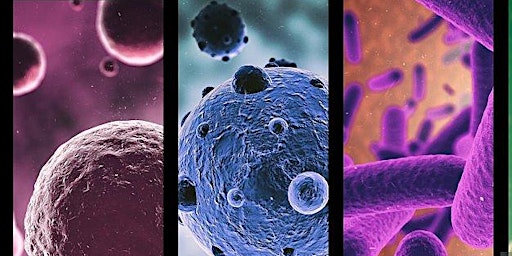 Hauptbild für El Futuro de la Salud de la Mujer: Innovaciones en la Investigación de la Microbiota