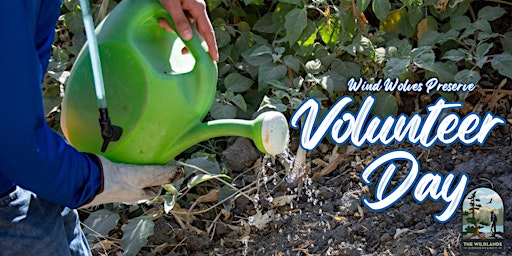 Volunteer Day: Watering Native Plants at Wind Wolves Preserve