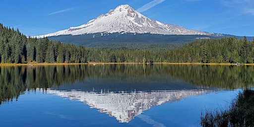 Hike with a Ranger: Wildlife of the Trillium Lake Area primary image