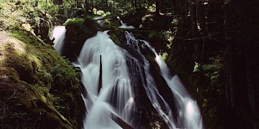 Imagen principal de Hike with a Ranger: Hydrology of Little Zigzag Falls