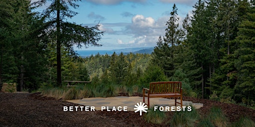 Better Place Forests Point Arena Memorial Forest Open House primary image
